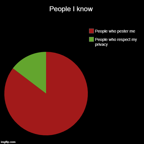 People I know | People I know | People who respect my privacy, People who pester me | image tagged in funny,pie charts,humor | made w/ Imgflip chart maker