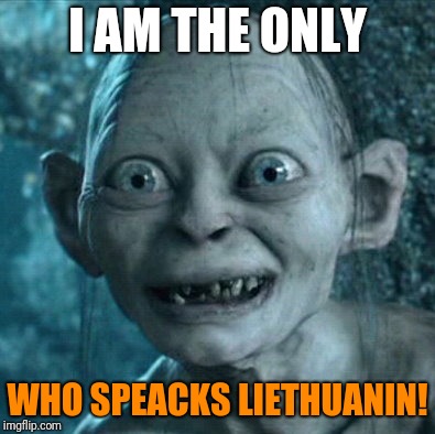 Gollum Meme | I AM THE ONLY; WHO SPEACKS LIETHUANIN! | image tagged in memes,gollum | made w/ Imgflip meme maker