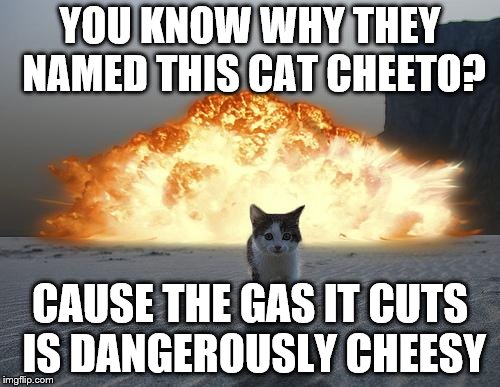 cat explosion | YOU KNOW WHY THEY NAMED THIS CAT CHEETO? CAUSE THE GAS IT CUTS IS DANGEROUSLY CHEESY | image tagged in cat explosion | made w/ Imgflip meme maker