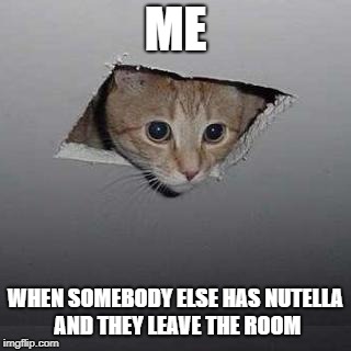 Ceiling Cat Meme | ME; WHEN SOMEBODY ELSE HAS NUTELLA AND THEY LEAVE THE ROOM | image tagged in memes,ceiling cat | made w/ Imgflip meme maker