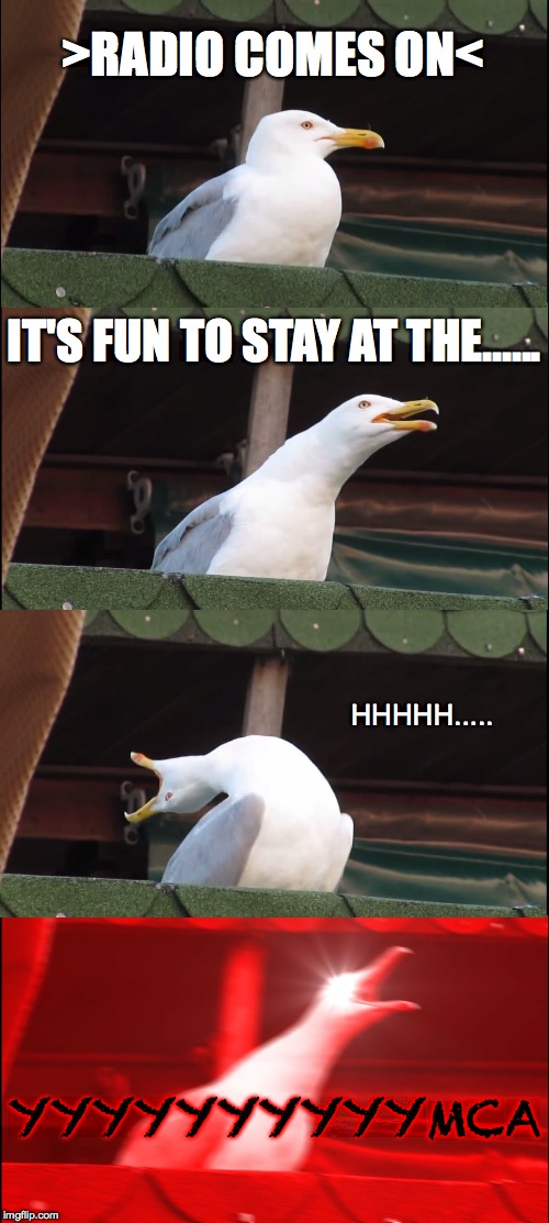 my JAM | >RADIO COMES ON<; IT'S FUN TO STAY AT THE...... HHHHH..... YYYYYYYYYYMCA | image tagged in memes,inhaling seagull | made w/ Imgflip meme maker