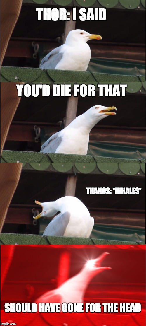 Inhaling Seagull Meme Imgflip