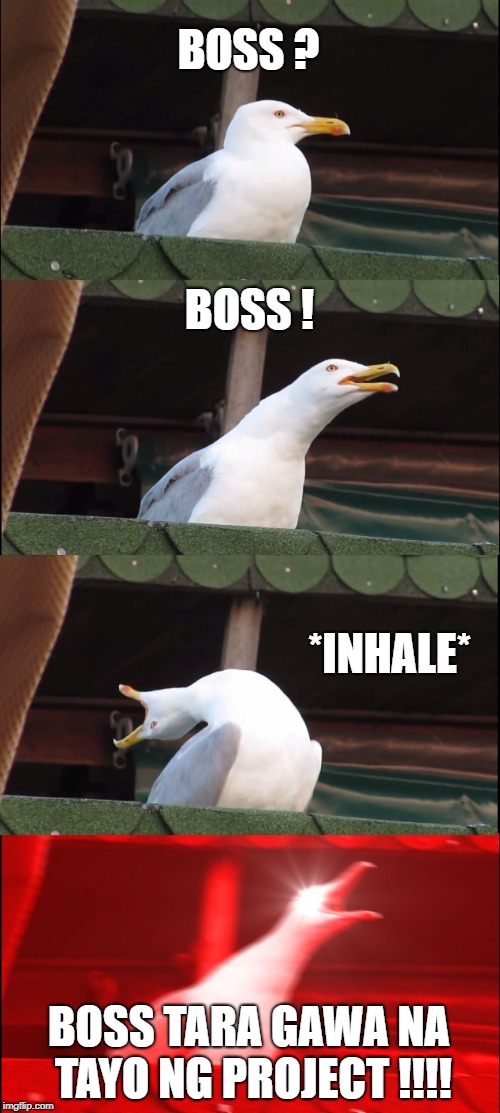 Inhaling Seagull Meme | BOSS ? BOSS ! *INHALE*; BOSS TARA GAWA NA TAYO NG PROJECT !!!! | image tagged in memes,inhaling seagull | made w/ Imgflip meme maker