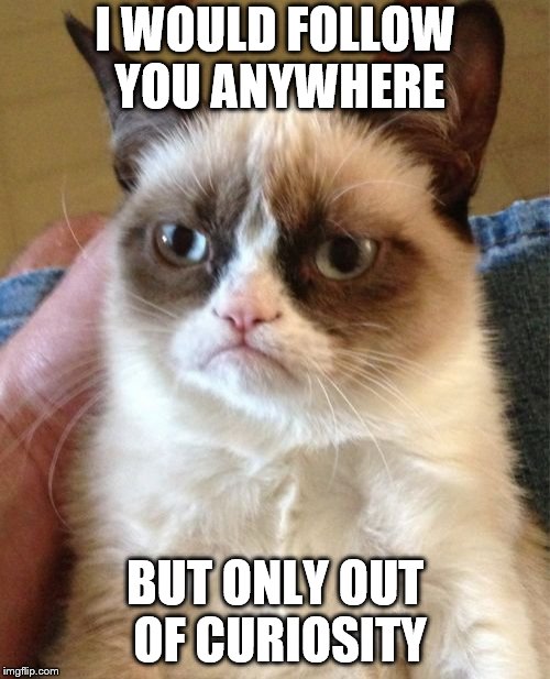 Grumpy Cat | I WOULD FOLLOW YOU ANYWHERE; BUT ONLY OUT OF CURIOSITY | image tagged in memes,grumpy cat | made w/ Imgflip meme maker