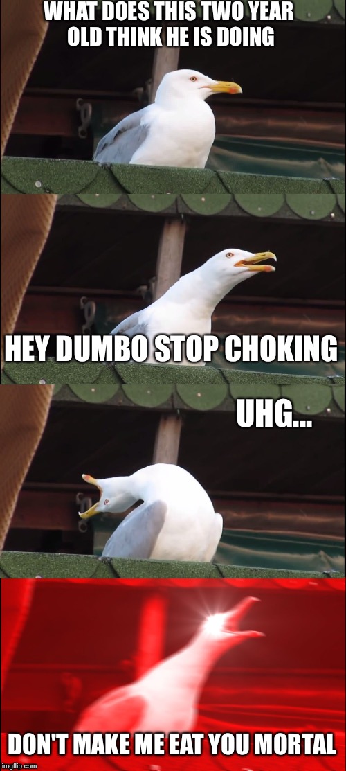 Inhaling Seagull | WHAT DOES THIS TWO YEAR OLD THINK HE IS DOING; HEY DUMBO STOP CHOKING; UHG... DON'T MAKE ME EAT YOU MORTAL | image tagged in memes,inhaling seagull | made w/ Imgflip meme maker