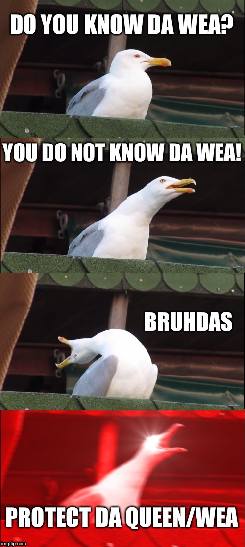 Inhaling Seagull | DO YOU KNOW DA WEA? YOU DO NOT KNOW DA WEA! BRUHDAS; PROTECT DA QUEEN/WEA | image tagged in memes,inhaling seagull | made w/ Imgflip meme maker