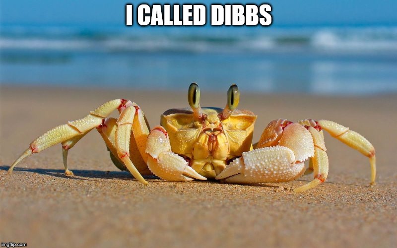 I CALLED DIBBS | made w/ Imgflip meme maker