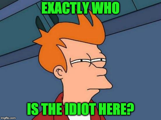 Futurama Fry Meme | EXACTLY WHO IS THE IDIOT HERE? | image tagged in memes,futurama fry | made w/ Imgflip meme maker