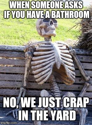 Waiting Skeleton | WHEN SOMEONE ASKS IF YOU HAVE A BATHROOM; NO, WE JUST CRAP IN THE YARD | image tagged in memes,waiting skeleton | made w/ Imgflip meme maker