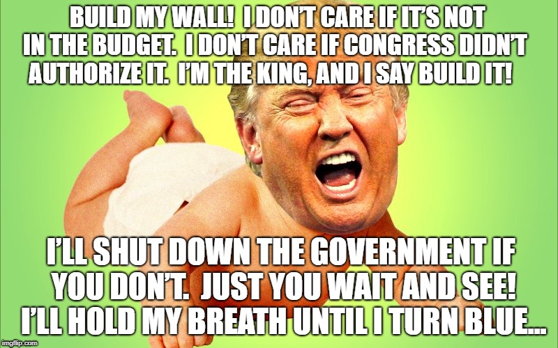 BUILD MY WALL!  I DON’T CARE IF IT’S NOT IN THE BUDGET.  I DON’T CARE IF CONGRESS DIDN’T AUTHORIZE IT.  I’M THE KING, AND I SAY BUILD IT! I’LL SHUT DOWN THE GOVERNMENT IF YOU DON’T.  JUST YOU WAIT AND SEE!  I’LL HOLD MY BREATH UNTIL I TURN BLUE… | image tagged in trump | made w/ Imgflip meme maker