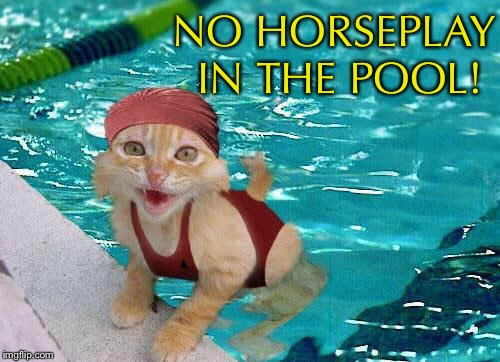 NO HORSEPLAY IN THE POOL! | made w/ Imgflip meme maker