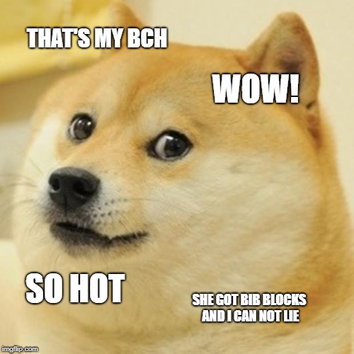Doge Meme |  THAT'S MY BCH; WOW! SO HOT; SHE GOT BIB BLOCKS AND I CAN NOT LIE | image tagged in memes,doge | made w/ Imgflip meme maker