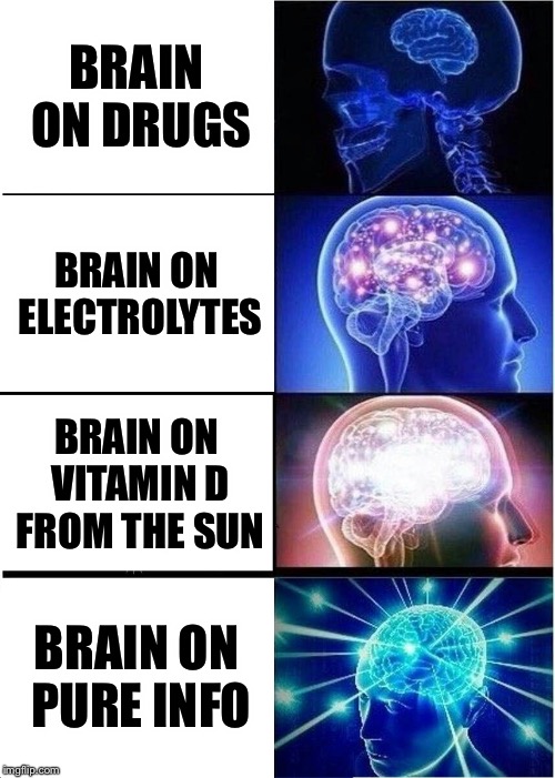 Expanding Brain Meme | BRAIN ON DRUGS; BRAIN ON ELECTROLYTES; BRAIN ON VITAMIN D FROM THE SUN; BRAIN ON PURE INFO | image tagged in memes,expanding brain | made w/ Imgflip meme maker