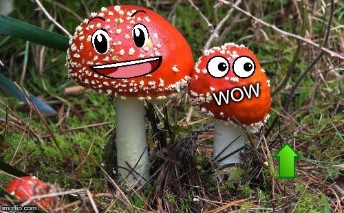 WoW Shroom Upvote | image tagged in wow shroom upvote | made w/ Imgflip meme maker