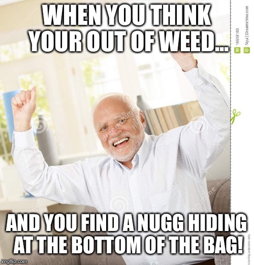 Hide the Pain Harold 7 | WHEN YOU THINK YOUR OUT OF WEED... AND YOU FIND A NUGG HIDING AT THE BOTTOM OF THE BAG! | image tagged in hide the pain harold 7 | made w/ Imgflip meme maker