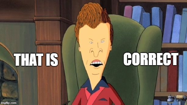 butthead | THAT IS CORRECT | image tagged in butthead | made w/ Imgflip meme maker