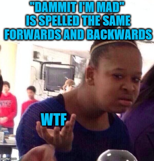 Black Girl Wat Meme | "DAMMIT I'M MAD" IS SPELLED THE SAME FORWARDS AND BACKWARDS; WTF | image tagged in memes,black girl wat | made w/ Imgflip meme maker