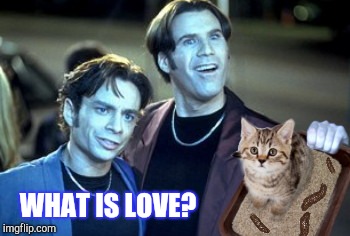 WHAT IS LOVE? | made w/ Imgflip meme maker