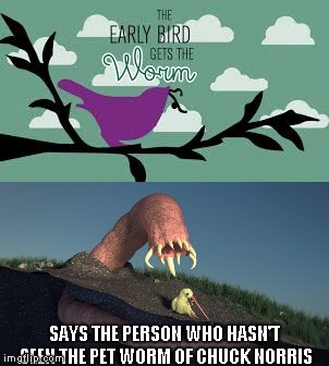 The worm gets the early bird
 | SAYS THE PERSON WHO HASN'T SEEN THE PET WORM OF CHUCK NORRIS | image tagged in memes,worm gets the early bird | made w/ Imgflip meme maker