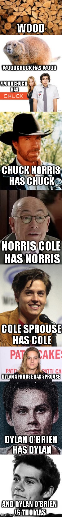 Possibly the longest relativity between Thomas from Maze Runner and some wood | WOOD; WOODCHUCK HAS WOOD; WOODCHUCK HAS; CHUCK NORRIS HAS CHUCK; NORRIS COLE HAS NORRIS; COLE SPROUSE HAS COLE; DYLAN SPROUSE HAS SPROUSE; DYLAN O'BRIEN HAS DYLAN; AND DYLAN O'BRIEN IS THOMAS | image tagged in memes,long meme | made w/ Imgflip meme maker