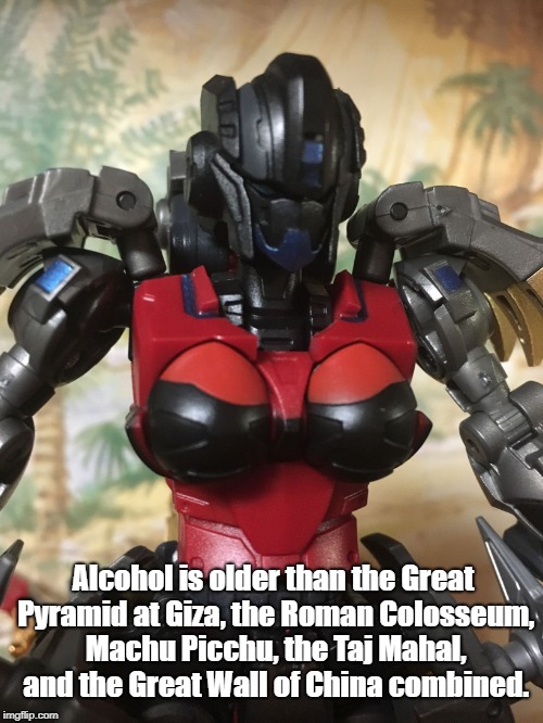 Echara | Alcohol is older than the Great Pyramid at Giza, the Roman Colosseum, Machu Picchu, the Taj Mahal, and the Great Wall of China combined. | image tagged in echara | made w/ Imgflip meme maker