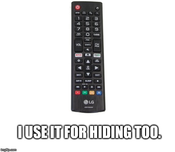 I USE IT FOR HIDING TOO. | made w/ Imgflip meme maker