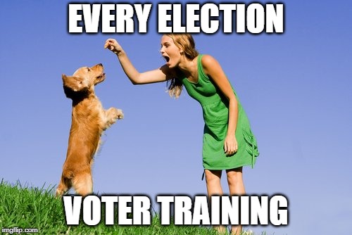 EVERY ELECTION; VOTER TRAINING | image tagged in dog training | made w/ Imgflip meme maker