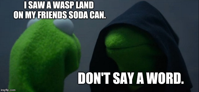 Evil Kermit Meme | I SAW A WASP LAND ON MY FRIENDS SODA CAN. DON'T SAY A WORD. | image tagged in memes,evil kermit | made w/ Imgflip meme maker