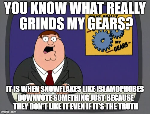 Peter Griffin News Meme | YOU KNOW WHAT REALLY GRINDS MY GEARS? IT IS WHEN SNOWFLAKES LIKE ISLAMOPHOBES DOWNVOTE SOMETHING JUST BECAUSE THEY DON'T LIKE IT EVEN IF IT'S THE TRUTH | image tagged in memes,peter griffin news,anti-islamophobia,snowflakes,downvotes,downvote | made w/ Imgflip meme maker