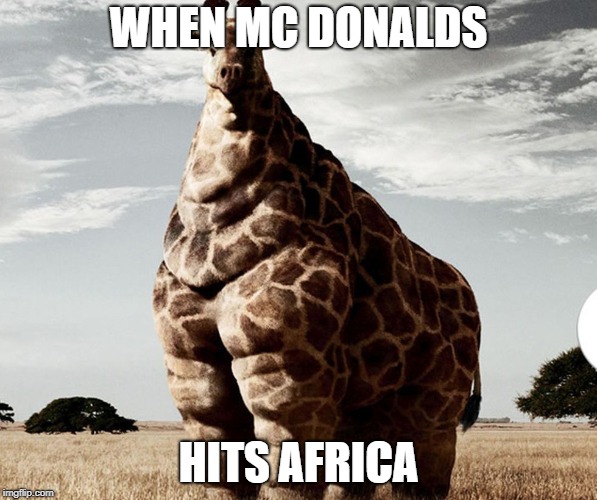 WHEN MC DONALDS; HITS AFRICA | image tagged in memes,meme,giraffe,mcdonalds,animals,animal | made w/ Imgflip meme maker