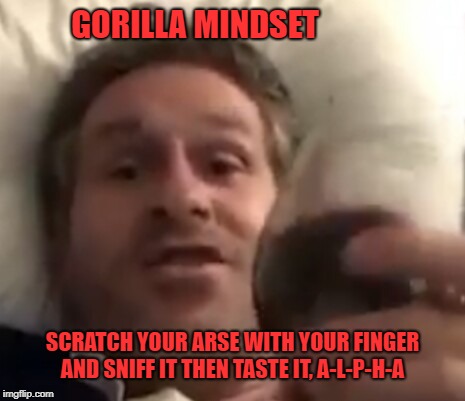 mike cernovich | GORILLA MINDSET; SCRATCH YOUR ARSE WITH YOUR FINGER AND SNIFF IT THEN TASTE IT, A-L-P-H-A | image tagged in mike cernovich | made w/ Imgflip meme maker