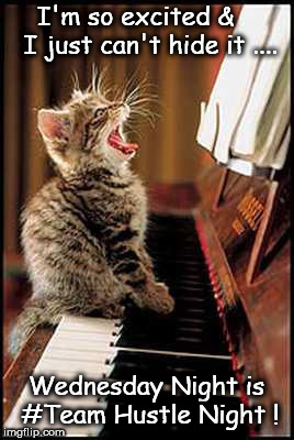 Piano Cat for Team Hustle | I'm so excited &    I just can't hide it .... Wednesday Night is #Team Hustle Night ! | image tagged in cat,dance,hustle | made w/ Imgflip meme maker