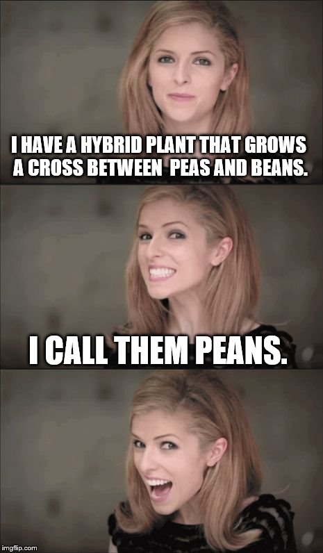 Bad Pun Anna Kendrick Meme | I HAVE A HYBRID PLANT THAT GROWS A CROSS BETWEEN  PEAS AND BEANS. I CALL THEM PEANS. | image tagged in memes,bad pun anna kendrick | made w/ Imgflip meme maker