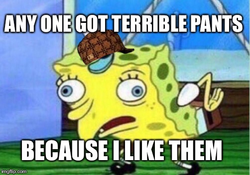 Mocking Spongebob Meme | ANY ONE GOT TERRIBLE PANTS; BECAUSE I LIKE THEM | image tagged in memes,mocking spongebob,scumbag | made w/ Imgflip meme maker