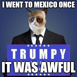 Donald Grump | I WENT TO MEXICO ONCE; IT WAS AWFUL | image tagged in donald grump | made w/ Imgflip meme maker