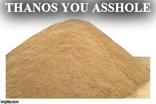 Sand avenger | THANOS YOU ASSHOLE | image tagged in sand avenger | made w/ Imgflip meme maker