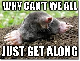 WHY CAN'T WE ALL; JUST GET ALONG | made w/ Imgflip meme maker