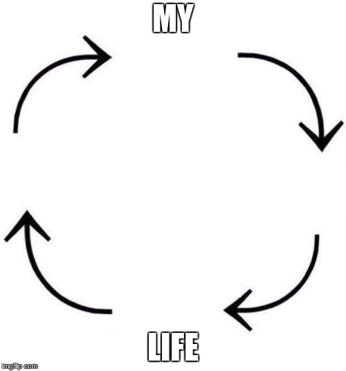 the circle of life | MY; LIFE | image tagged in the circle of life | made w/ Imgflip meme maker