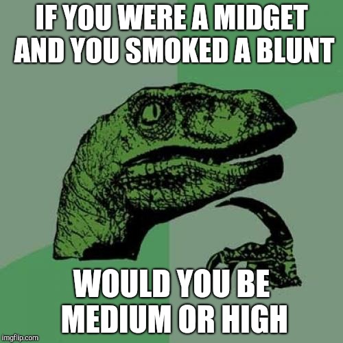 Philosoraptor Meme | IF YOU WERE A MIDGET AND YOU SMOKED A BLUNT; WOULD YOU BE MEDIUM OR HIGH | image tagged in memes,philosoraptor | made w/ Imgflip meme maker