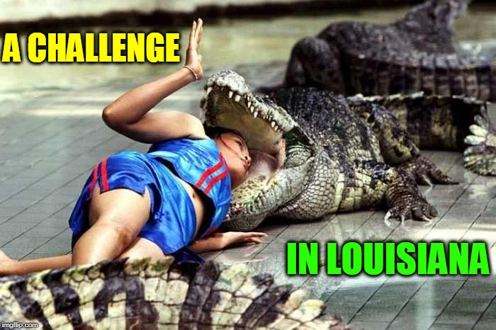 The Case for Women in the Military | A CHALLENGE; IN LOUISIANA | image tagged in vince vance,alligators,gator bait,woman with head in alligators mouth,using your head in your job,dinnier time at the zoo | made w/ Imgflip meme maker