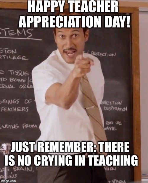 substitute teacher | HAPPY TEACHER APPRECIATION DAY! JUST REMEMBER: THERE IS NO CRYING IN TEACHING | image tagged in substitute teacher | made w/ Imgflip meme maker