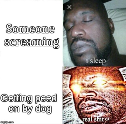 Sleeping Shaq Meme | Someone screaming; Getting peed on by dog | image tagged in memes,sleeping shaq | made w/ Imgflip meme maker