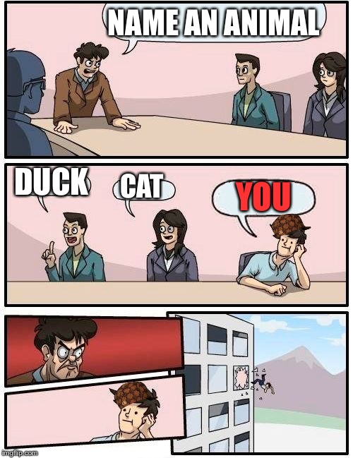 Boardroom Meeting Suggestion Meme | NAME AN ANIMAL; DUCK; CAT; YOU | image tagged in memes,boardroom meeting suggestion,scumbag | made w/ Imgflip meme maker