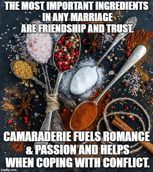 THE MOST IMPORTANT INGREDIENTS IN ANY MARRIAGE ARE FRIENDSHIP AND TRUST. CAMARADERIE FUELS ROMANCE & PASSION AND HELPS WHEN COPING WITH CONFLICT. | image tagged in marriage | made w/ Imgflip meme maker