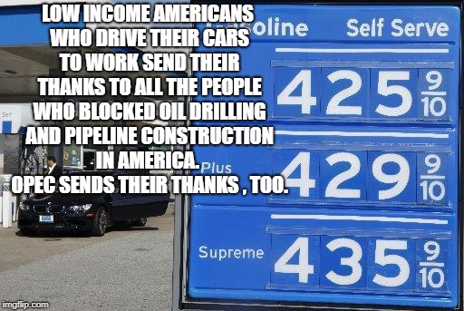 $4 a Gallon Gas | LOW INCOME AMERICANS WHO DRIVE THEIR CARS TO WORK SEND THEIR THANKS TO ALL THE PEOPLE WHO BLOCKED OIL DRILLING AND PIPELINE CONSTRUCTION IN AMERICA.  OPEC SENDS THEIR THANKS , TOO. | image tagged in political memes | made w/ Imgflip meme maker