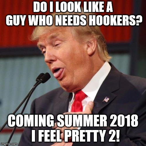 DO I LOOK LIKE A GUY WHO NEEDS HOOKERS? COMING SUMMER 2018  I FEEL PRETTY 2! | image tagged in trump | made w/ Imgflip meme maker