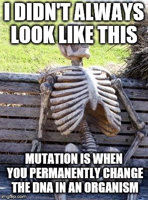 Waiting Skeleton Meme | I DIDN'T ALWAYS LOOK LIKE THIS; MUTATION IS WHEN YOU PERMANENTLY CHANGE THE DNA IN AN ORGANISM | image tagged in memes,waiting skeleton | made w/ Imgflip meme maker
