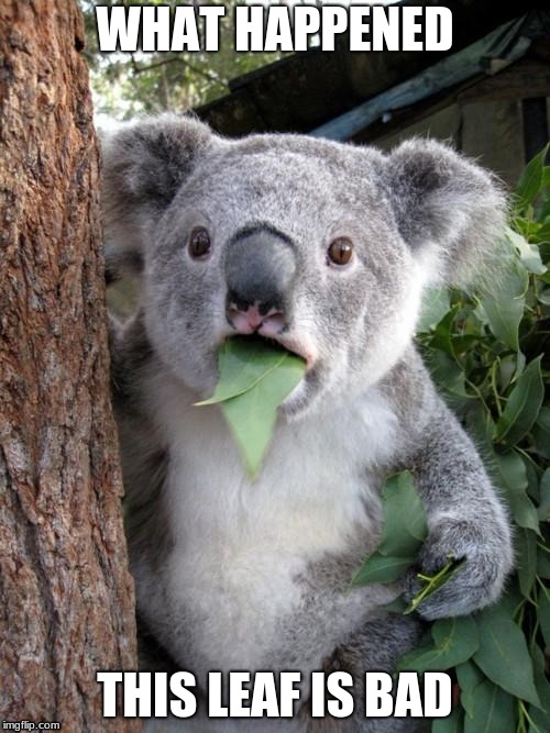 Surprised Koala | WHAT HAPPENED; THIS LEAF IS BAD | image tagged in memes,surprised koala | made w/ Imgflip meme maker