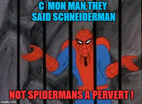 spiderman jail | C`MON MAN,THEY SAID SCHNEIDERMAN; NOT SPIDERMANS A PERVERT ! | image tagged in spiderman jail | made w/ Imgflip meme maker