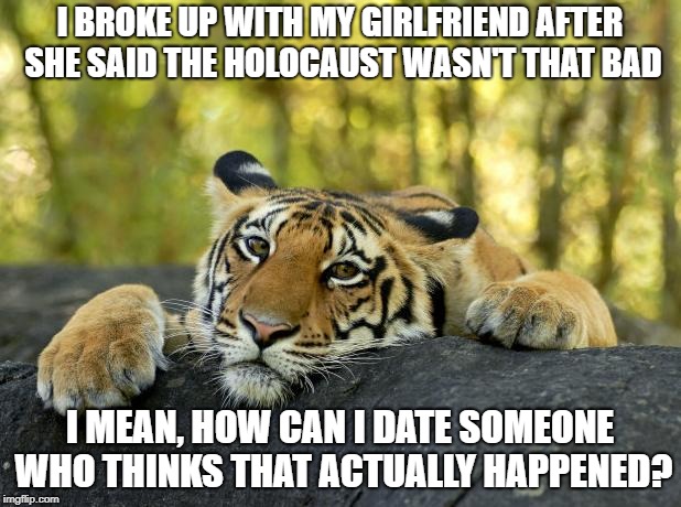 Confession Tiger | I BROKE UP WITH MY GIRLFRIEND AFTER SHE SAID THE HOLOCAUST WASN'T THAT BAD; I MEAN, HOW CAN I DATE SOMEONE WHO THINKS THAT ACTUALLY HAPPENED? | image tagged in confession tiger,AdviceAnimals | made w/ Imgflip meme maker